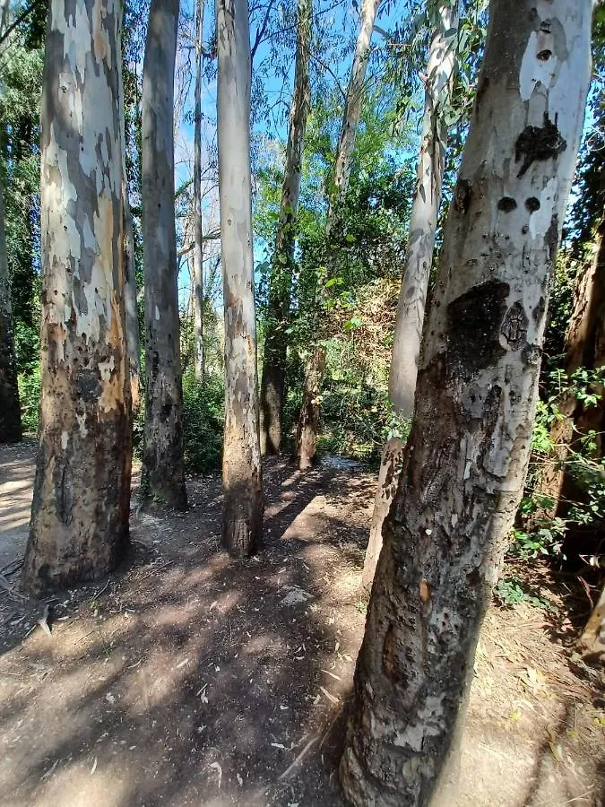 Villa Casa Sendero Del Rio El Bosque  Сasa de vacaciones El Bosque (Cadiz)
